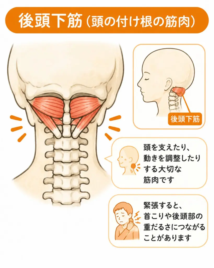 眼 精 疲労 首 の 付け根